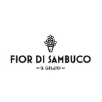 Fiori di Sambuco